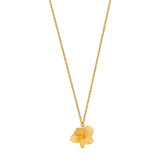 Kette / PAMPALONIA CHAIN / 24K vergoldet