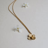 Kette / PAMPALONIA CHAIN / 24K vergoldet