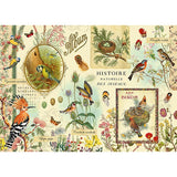 Puzzle / Oiseaux / 1000 Teile / rund
