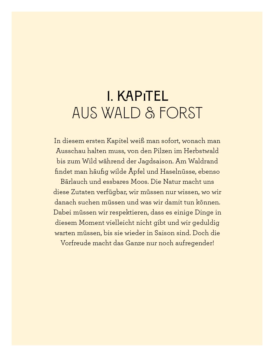 French Country Kitchen / Daniel Galmiche Shop im PicassoMuseum