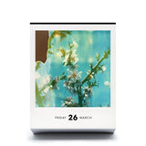 Abreißkalender / Photodarium 2027