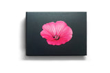 Postkartenbuch / The Blooming Book