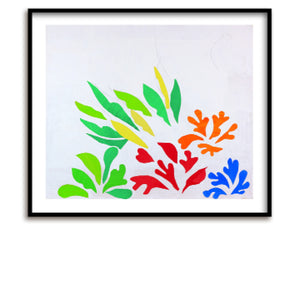 Art print / Matisse / Acanthes / 56 x 48 cm