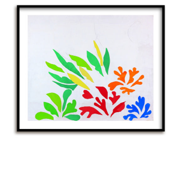 Kunstdruck / Matisse / Akanthes / 56 x 48 cm