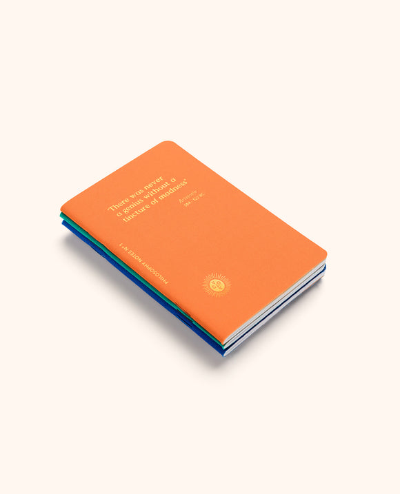 Notebook / Philosophy Notes / Set of 3 / 9 x 13.4 cm